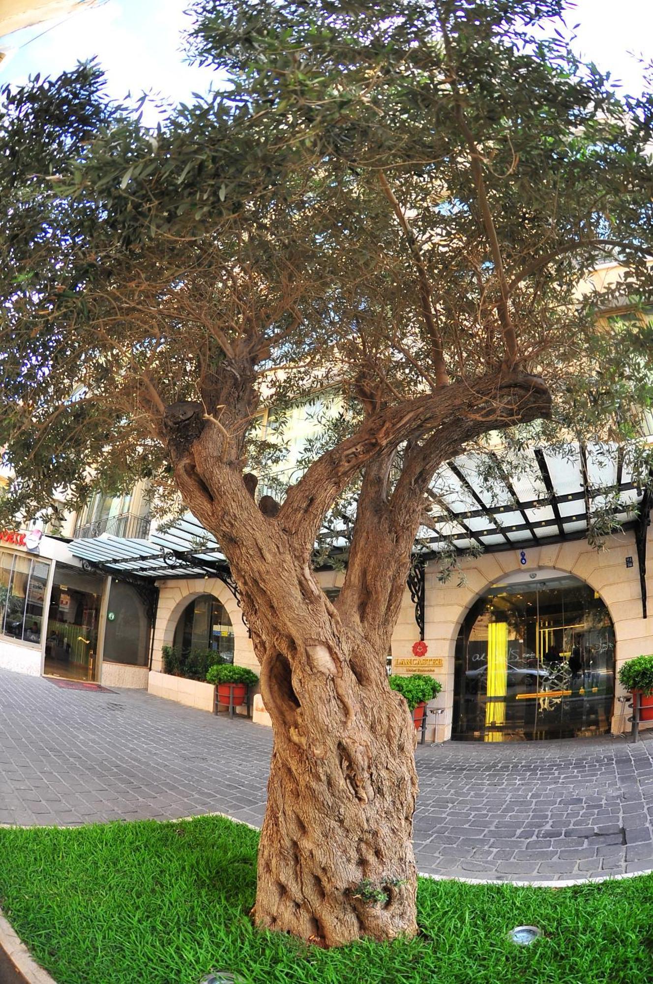 Lancaster Raouche Hotel Beirut Luaran gambar